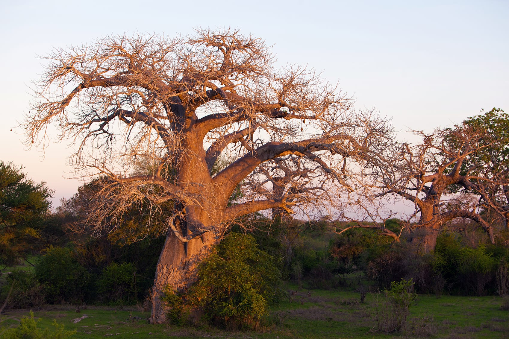 Angola Kongo Zambia Wodospady 3